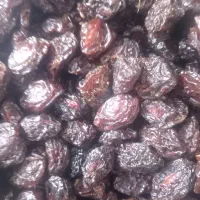 فروش آلو بخارا بوانات