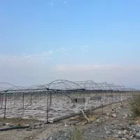 اجاره گلخانه باپلاستیک به صورت رایگان