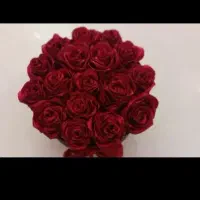 رزـربانی|گل مصنوعی|نیشابور, شهرک ولیعصر|دیوار