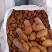 فروش بدون واسطه بادام و مغز بادام درجه یک