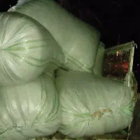 کاه خشک|حیوانات مزرعه|رودبار (کرمان), |دیوار