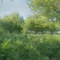 زمین دیوارکشی شده