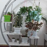 استند گل و گیاه