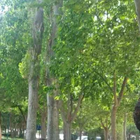 تعدادی نیرو جهت کار در سوپر مارکت و فست فود