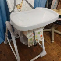 صندلی غذاخوری دلیجان