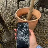 ایفون ۱۳|موبایل|تبریز, |دیوار