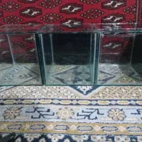 آکواریوم ماهی فایتر|ماهی|ری, دولت‌آباد|دیوار