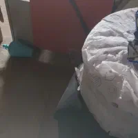 سفره یک بار مصرف|سفره، حوله، دستمال آشپزخانه|کوهدشت, |دیوار