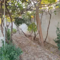 باغچه مناسب مهمانی|اجارهٔ کوتاهمدت ویلا و باغ|پاکدشت, پاکدشت (مامازند)|دیوار