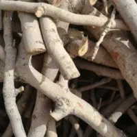 فروش چوب پسته