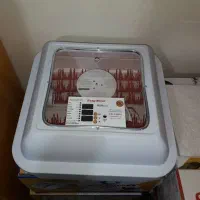 تخم نطفه دار