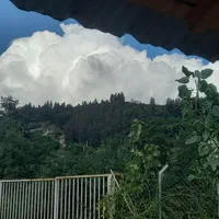 اجاره روزانه/هفتگی/کلبهای جنگلی لب رودخونه ۴۵ متری|اجارهٔ کوتاه‌مدت آپارتمان و سوئیت|بابل, |دیوار