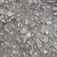 کود مرغی|خدمات باغبانی و درختکاری|شبستر, |دیوار
