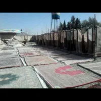 قالیشویی آریایی