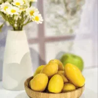 خارک اصل حاج باقری
