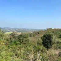 فروش-زمین-باغی-در-شهرستان-لنگرود-شهر-اطاقور