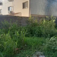 فروش زمین سندارشهرک کامرانیه با جواز ساخت۲طبقه|فروش زمین و ملک کلنگی|رشت, کوی غلام نیا|دیوار