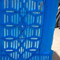 فروش جعبه جهت حمل مرغ کشته