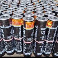 ایزوگام کارم