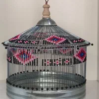 سهره قناری خاکی قرص|پرنده|چالوس, |دیوار