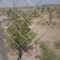 ۲قطعه باغچه۵۰۰متری خوش قواره (نظرآبادکرج نجم آباد)|فروش زمین و ملک کلنگی|شهریار, شهرک شاهد|دیوار