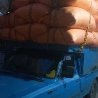 کاه گندم دیم قیدار