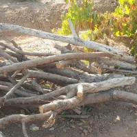 چوب و الوار خشک از درخت های به و بادام|عمدهفروشی|شاهینشهر, گزبرخوار|دیوار