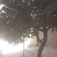 خونه دربستی ویلایی ۲۲۰ متر
