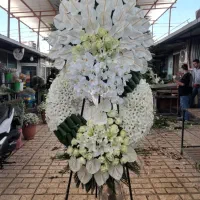 خریدوفروش انواع تاج گل های ترحیم وافتتاحیه