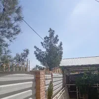 فرصت شغلی استثنایی برای نگهبانان ماهر