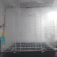 قفس|لوازم جانبی حیوانات|شهریار, شهریار|دیوار