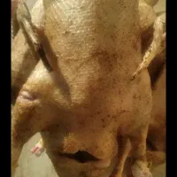 قاز پاک شده