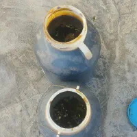 شیره ی انگور|خوردنی و آشامیدنی|شاهینشهر, خانه کارگر|دیوار