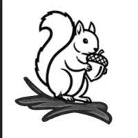 ادمین مسلط و خلاق برای مدیریت فروشگاه‌ آنلاین