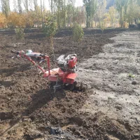 تیلر زنی انواع باغات