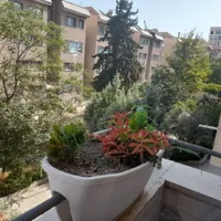 فاز اصلی شهرک غرب ۱۵۰متر برج