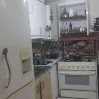 همخونه اقامیخوام