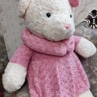 خرس شاسخین|اسباب‌بازی بچه|پاکدشت, پاکدشت (مامازند)|دیوار