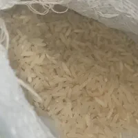 برنج طارم دم سیاه درجه یک ، طارم هاشمی|خوردنی و آشامیدنی|شاهرود, |دیوار