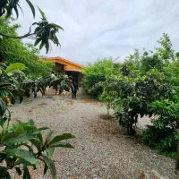 ویلا باغ پر از درختان مرکبات*400زمین*جاده دریا