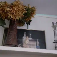 تعدادی مجسمه و دو عدد رادیو قدیمی کلکسیونی|کلکسیون اشیاء عتیقه|اصفهان, باغ دریاچه|دیوار