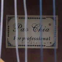 گیتار پائوچیا|گیتار، بیس، امپلیفایر|گرگان, |دیوار