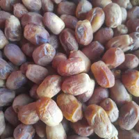خرمای زاهدی (قصب)