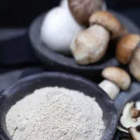 پودر قارچ دکمه‌ای باکیفیت و تنوع بسته‌بندی|خوردنی و آشامیدنی|پردیس, شهرک صنعتی خرمدشت فاز ۷|دیوار