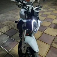 بنلی300درحد