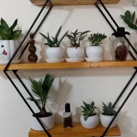 دکوراسیون گل و مجسمه شیک|کتابخانه، شلف، قفسه‌های دیواری|کنگاور, |دیوار