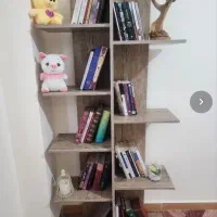 چند وسیله در حد نو|لوستر و چراغ آویز|رشت, کوی مهر|دیوار