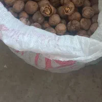 فروش گردو|خوردنی و آشامیدنی|مرند, |دیوار