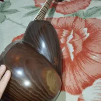 تار کوهی|سازهای سنتی|شهرکرد, |دیوار