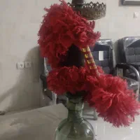 قیلیون دوسیب آلبالو